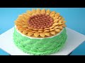 Most Satisfying Chocolate Cake Decorating Tutorials | So Yummy Cake Decorating Recipes