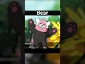 Every Bear Pokemon In 22 Seconds