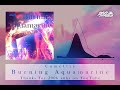Camellia - Burning Aquamarine [TF 200k subs on YT]
