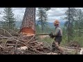 Stihl 046 falling a large north Idaho pine!!