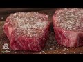 Every way to COOK A STEAK! (25 Methods) | GugaFoods