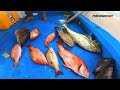 REKOR IKAN KAKAP MONSTER, Mancing Bareng Kapten Sisil