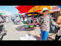 Cambodian Street Food Compilation - Fish, Pork, Shrimp, Salty Fish, Beef, Prawns, Chicken & More