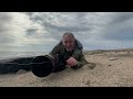 Photographing Shorebirds