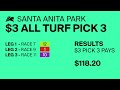 Santa Anita Park Resumen - 15 de Junio 2024