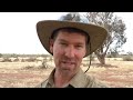 Aussie man hunts rabbits on the run with a Hunting Boomerang/Throwstick - Ep. #16