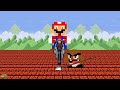 Super Mario Bros. but there are MORE Custom Flower All Enemies! | Game Animation