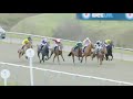 Photo Finish! Incredible Side by Side Horse Race to the Finish Line