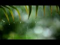 24 Hours of Relaxing Music / Sleep Music with Rain Sound, Piano Music for Stress Relief