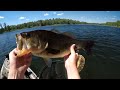 Sight Fishing Big Bass In Crystal Clear Water!