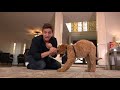 NEW PUPPY SURVIVAL GUIDE: How to Train ANY Dog to STOP Barking, Calm Down & Stay! (EP: 7)