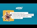 Get Started with the DOGTRA YS600 Bark Collar - for Medium to Large Dogs | eDog Australia