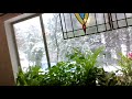 Snow out my window..this is not a very thrilling video, I know...LOL..!!!!