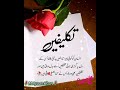 Aqwal e Zareen❣️👍🌺/Urdu Quotes /mix AqwaleZareen in urdu/Islamic Quotes /gehri baatain/Golden Words