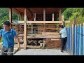 Building a Wooden House 2024 - How to erect columns, assemble and complete the house frame
