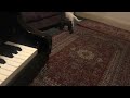 My cats fave song from The Aristocats movie #noopdog #music #cat #funnyvideo #funnycat #trending
