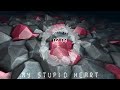 Walk Off The Earth - My Stupid Heart | Sp3ctrum-5 Remix