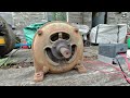 Will It Run? 100 Year Old Three Phase AC Electric Motor 415v