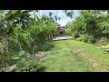 D6R XL Bulldozer Cleaning Bushes That Have Covered the Road for Decades