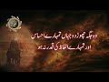 51 Heartbreaking Sayings of Hazrat Ali | Insaan ke liye afzal tareen nekiya | Urdu quotes