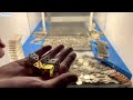 ★ TURNING 1,000 QUARTERS INTO MILLIONS! HIGH RISK COIN PUSHER $5,000,000.00 BUY IN! (RECORD WIN)