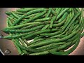 Fresh green beans ✅