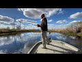 Punching mats in lake Des Allemands Louisiana. Winter bass fishing.