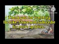 Watercolor painting of a village house view | asmr | #watercolorpainting