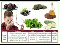 Chinese Medicine Diagnosis - The Liver (Inquiry Method)