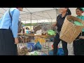 15 days: 16-year-old single mother - harvesting bamboo shoots, oranges, selling to earn money