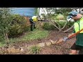 Terribly Neglected OVERGROWN Australian NATIVE Garden | Complete RENOVATION