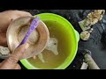 💯 யாருமே சொல்லாத ரகசியம்!!!,20 நிமிடத்தில்✨பள பளனு மின்னும் | Pooja vessels Easy Cleaning tips tamil