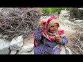 Life Of A Grand Mother Alone in The Mountains Of Gilgit Baltistan | Very Hard Lifestyle | Pakistan