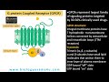 3 Types of Cell Surface Receptors|| Ion Channel Linked Receptors, Enzyme Linked Receptors and GPCR