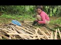 Build a beautiful bamboo gate for the home of a 17 year old single mother