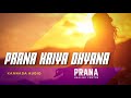 Unlock the Power of Prana | ಪ್ರಾಣ ಕ್ರಿಯಾ ಧ್ಯಾನ | Sri PG | Prana Prathishtana