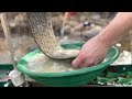 Dredging Incredible Gold Paydirt from Bedrock Crevices