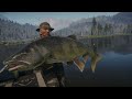 Call of the wild The Angler: How to catch This weeks legendary fish. Sidewinder the lake trout