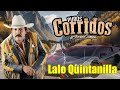 Lalo Quintanilla El Nuevo León Del Corrido 🎷🎺🎸 Puros Corridos Pesados 2024 🎷🎺🎸