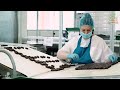 Inside the Instant Noodles Factory | Noodles Factory Process