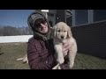 My Dog Calls a Trainer (FEAT. TOM DAVIS)