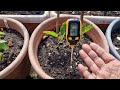 What is soil ph? and why is it very important for our vegetable gardening || Hobbyist Gardening UK