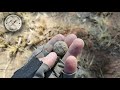 The Catfish is BACK! - Metal Detecting South Africa