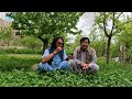 Sang Shanda Jaghori, The Land of Beauty | سنگ شاندا جاغوری