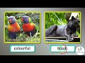Learn OPPOSITES with ANIMALS For Kids