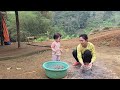 Single Mother - Harvesting Apples to Sell at the Market -The kind man gave gifts to Mother and Child