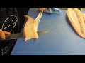 How to fillet Kingfish with Deba knife