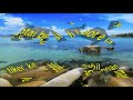 Alam Wisata Pulau Bangka + LIRIK, Lagu Bangka Belitung (LAGU BABEL)