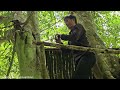 FULL VIDEO : Build shelters on trees, in tree holes, survive alone in the forest - Bushcraft
