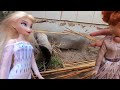 Animal Habitat!  Anna and Elsa create an animal home - Snowflake Doll Adventures